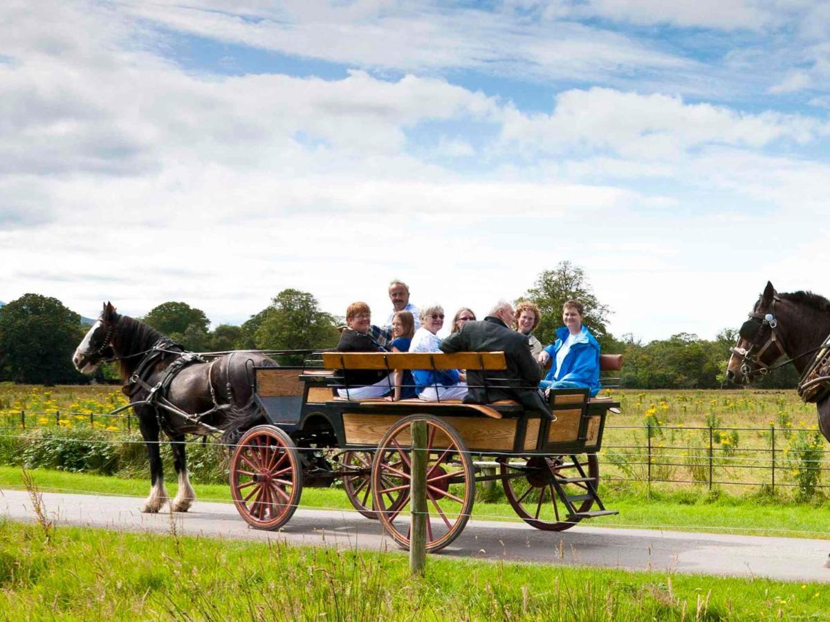 Madams Hill House Killarney By Trident Holiday Homes Eksteriør billede